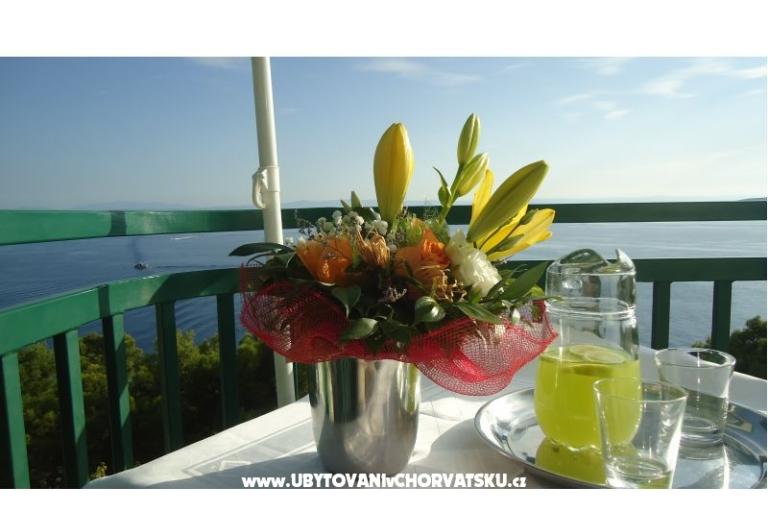 Villa Izabela – foto 6