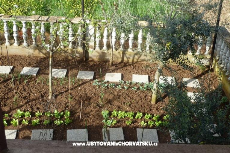 Appartement Petar i Agica Sabljak – foto 14