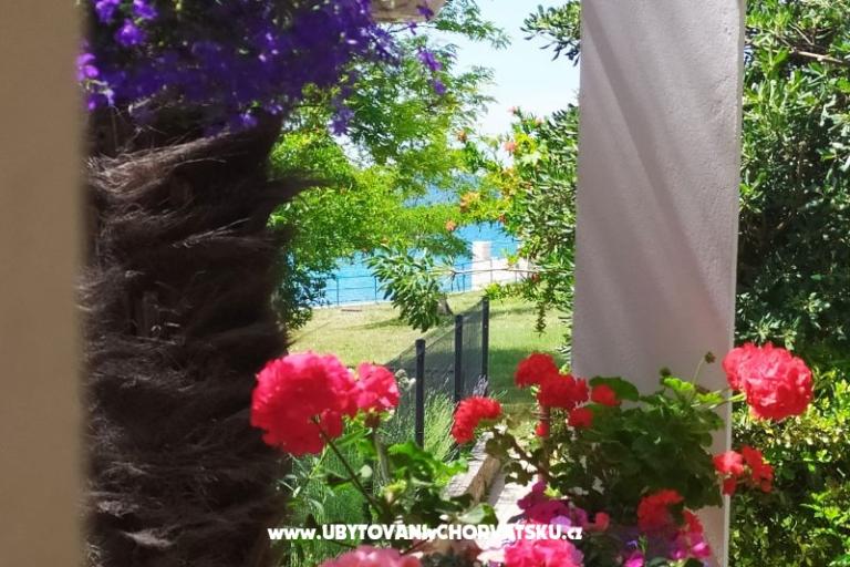 Appartements i sobe Sandra – foto 14