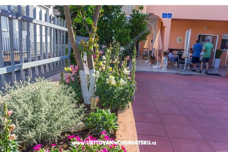 Appartements Ljubica i Toše – foto 11
