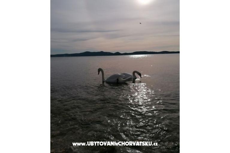 Appartements Vinko – foto 13