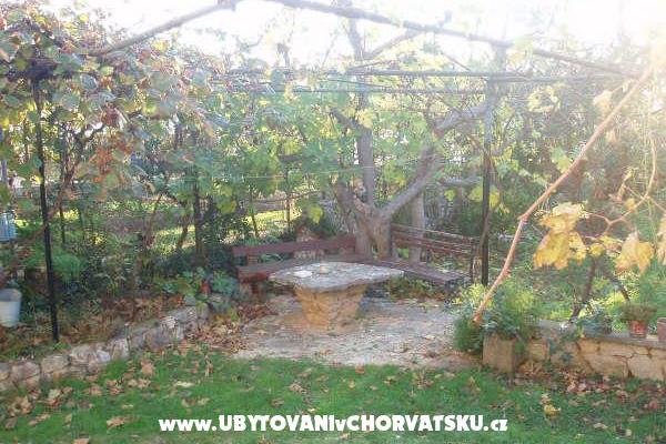 Appartements and Maison Spika – foto 6