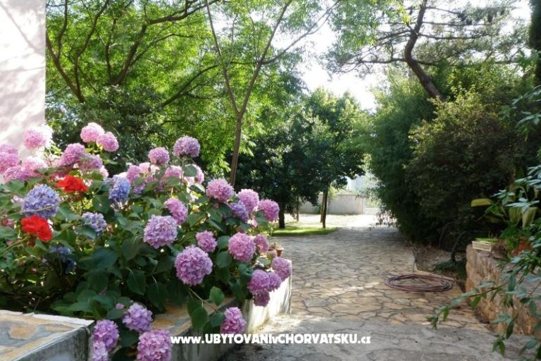 Appartements Lolinka Bibinje – foto 12