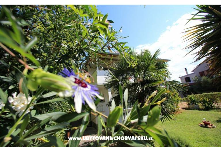 Appartements NICOL – foto 19