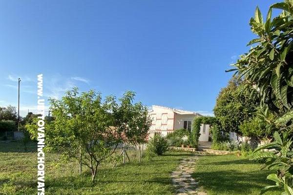 Emanuel Appartements – foto 9