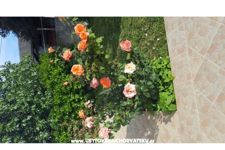 Maison for relax by the Sea – foto 12