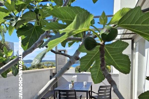 Villa D&amp;J – foto 6