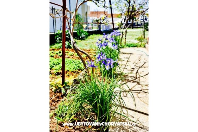 Appartements Grcić – foto 15