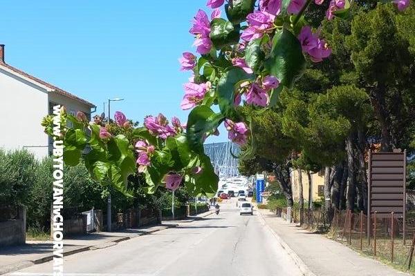 Appartements Josipa – foto 37