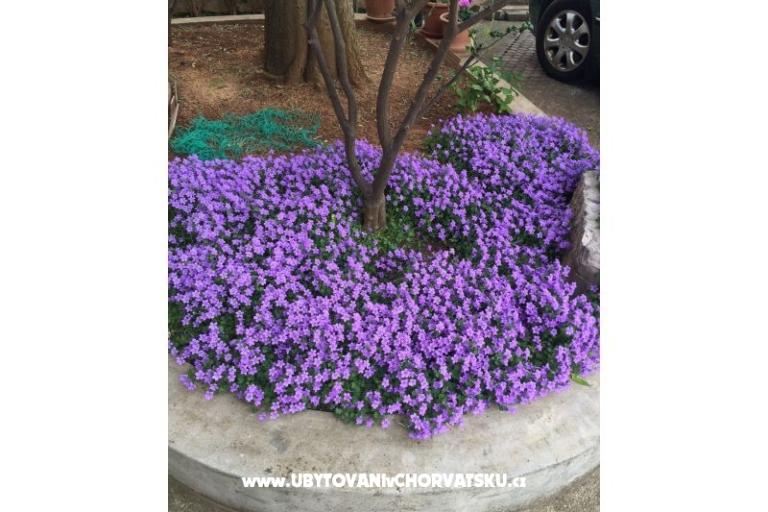 Appartements Jurov – foto 11