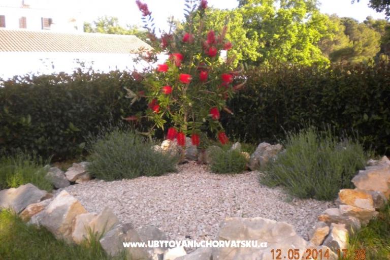 Appartements M&amp;M – foto 10