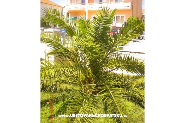 Appartements M&amp;M – foto 9