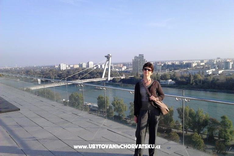 VILLA BERNARD..150 m plaža DRAŽICA – foto 19