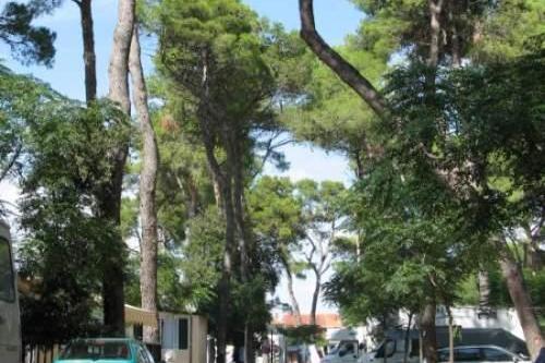 Auto Campement Diana – foto 2