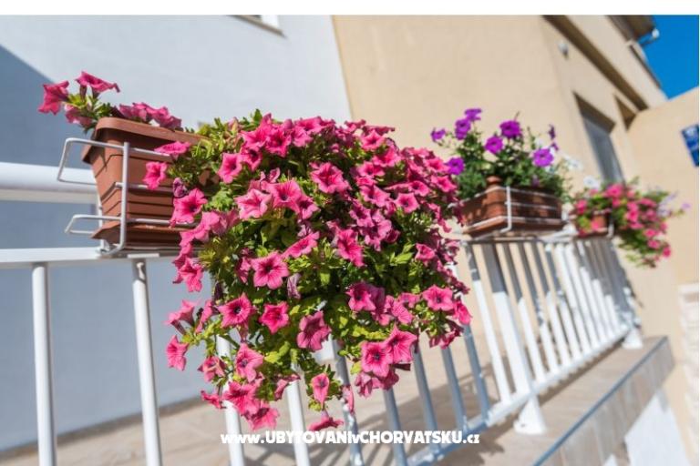 Appartements Galeb – foto 3