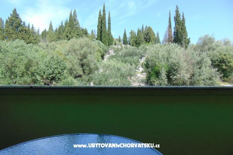 Appartements 7+ – foto 11