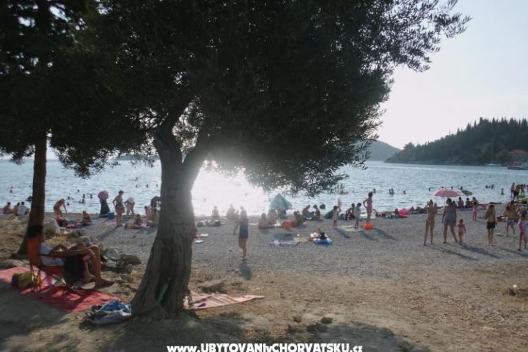Appartements  Petar – foto 4