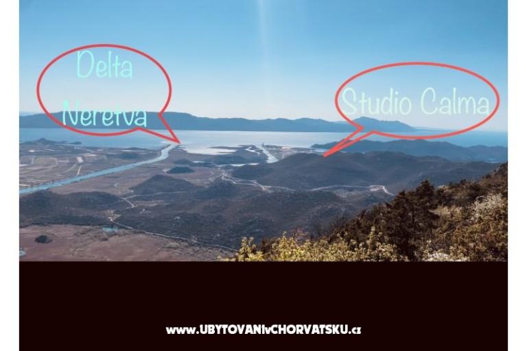 Studio Calma  – foto 14