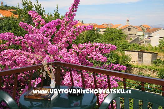 Appartement Vladimir *** – foto 6