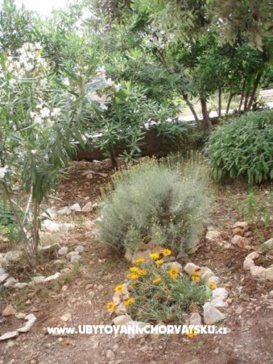 Appartements Nada – foto 12