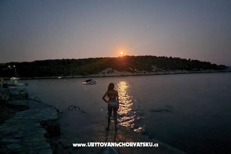 Appartements Rogosic Osibova – foto 17