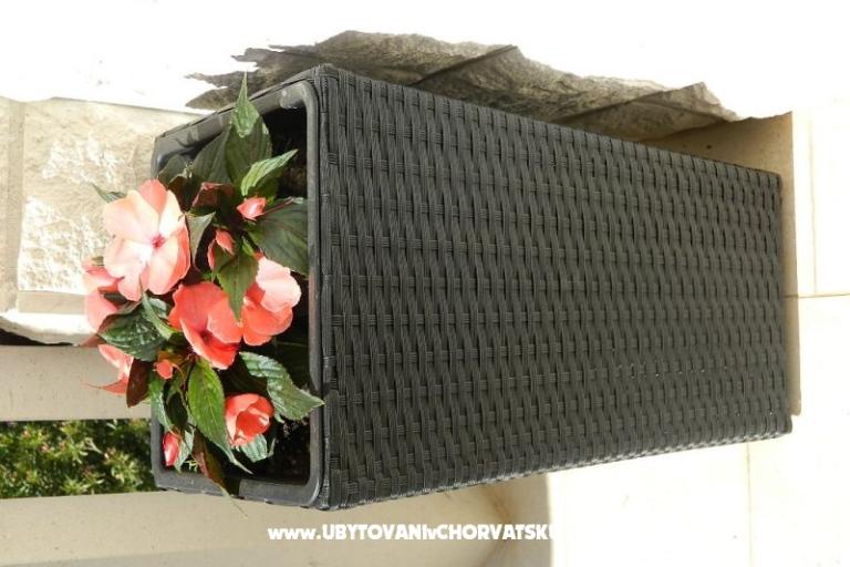 Appartements JELAVIĆ – foto 9