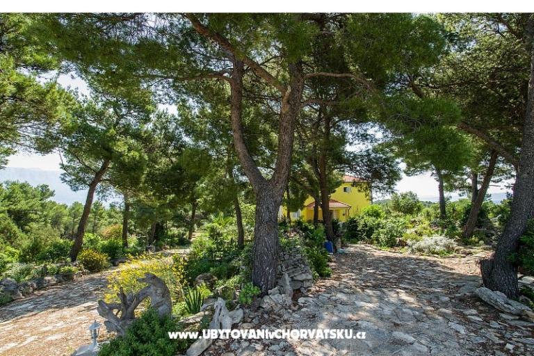 Appartements Chiaro – foto 10