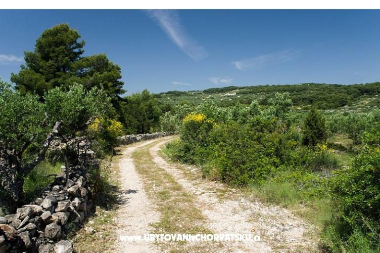 Appartements Chiaro – foto 14