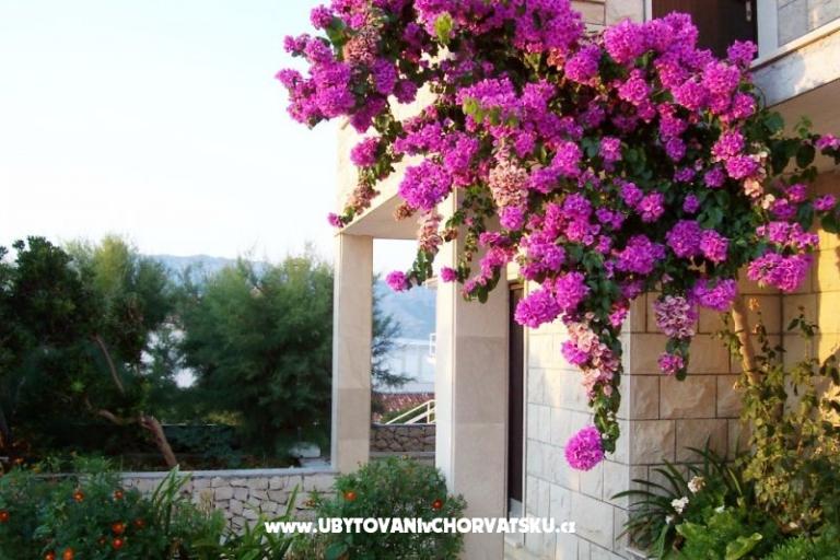 Appartements Villa Vanja – foto 6