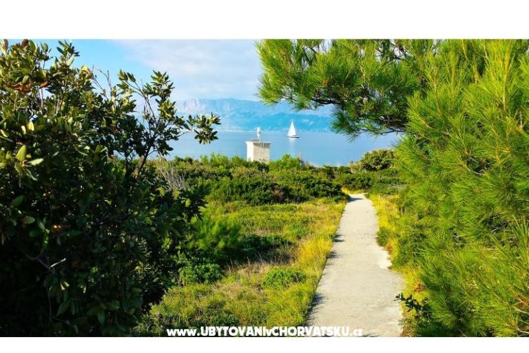 Maison de vacances Doda uvala Tičja Luka – foto 18