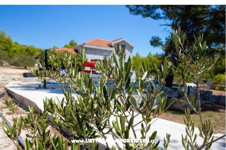 Family Maison Futura – foto 5