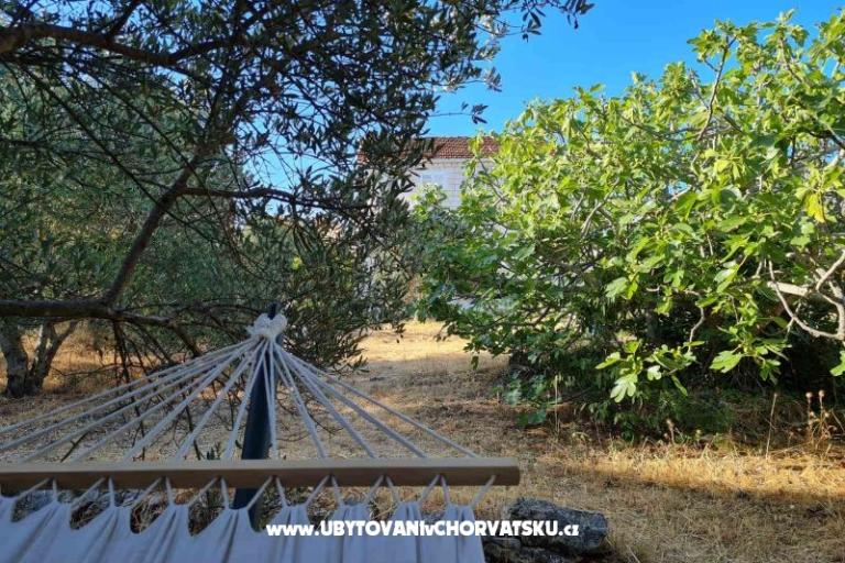 Garden Maison Sutivan – foto 6