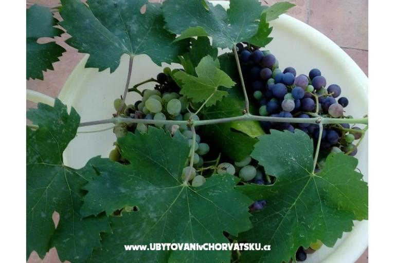 Maison Ankica – foto 15