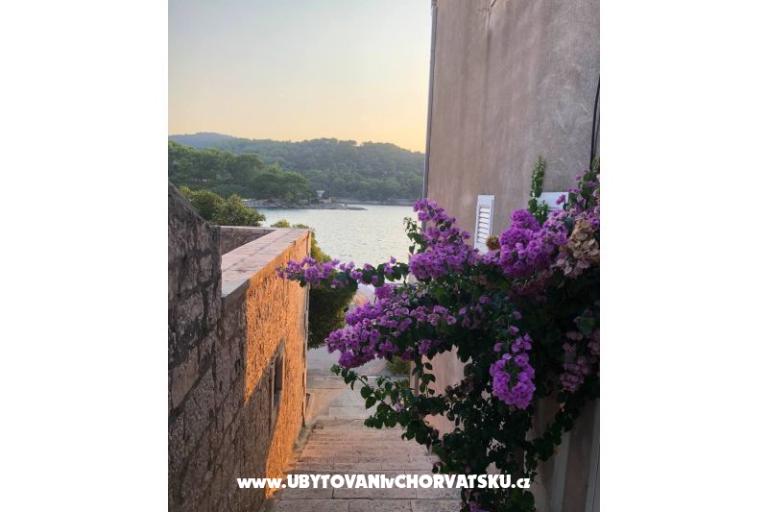 Maison Ankica – foto 21