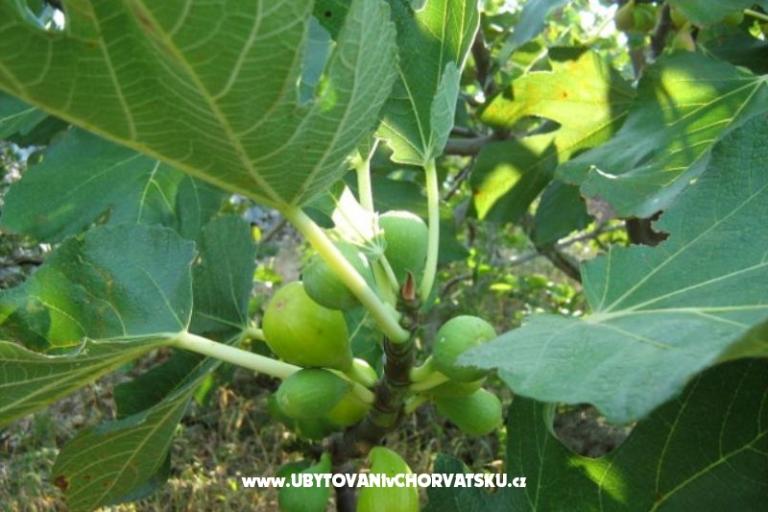 Maison Ankica – foto 4