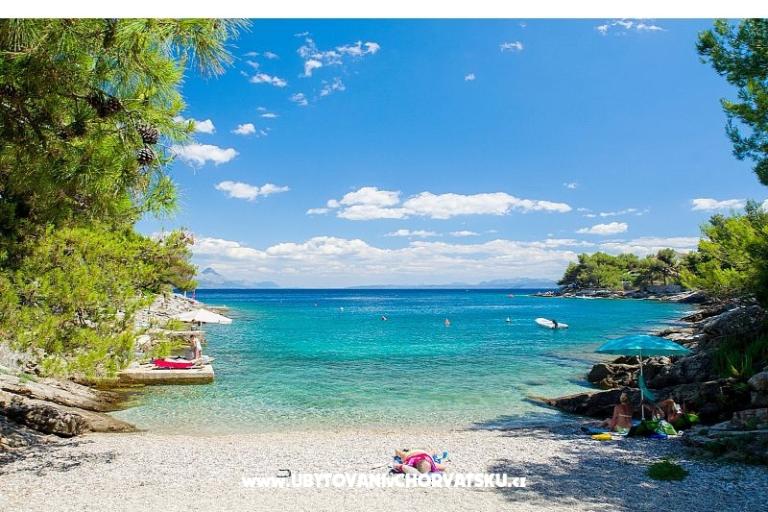 Maison Sunval – foto 8