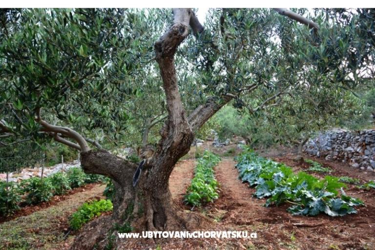 Maison Sweet Dreams – foto 15