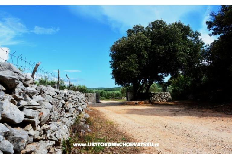 Maison Sweet Dreams – foto 4