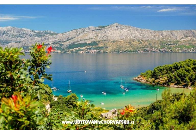 Maison Bongovila – foto 14