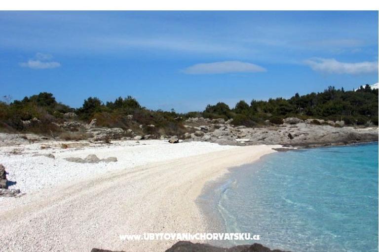 Maison Bongovila – foto 15