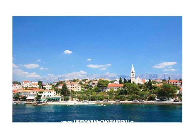 Maison Bongovila – foto 2