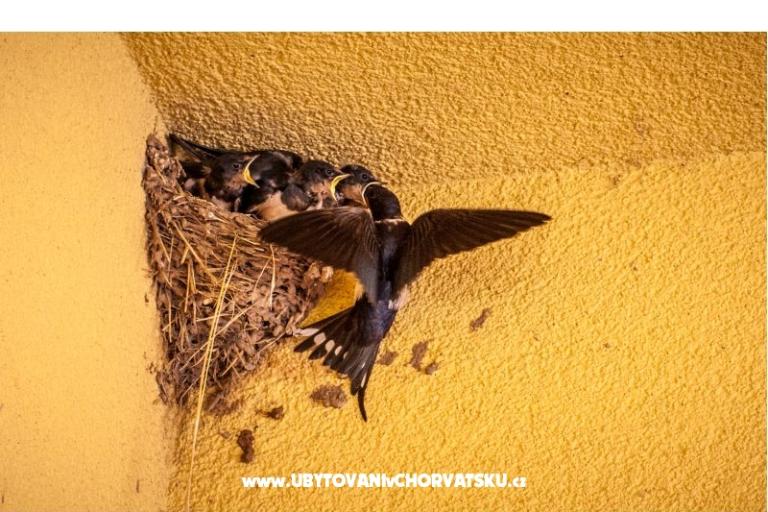 Peter´s Appartement – foto 6