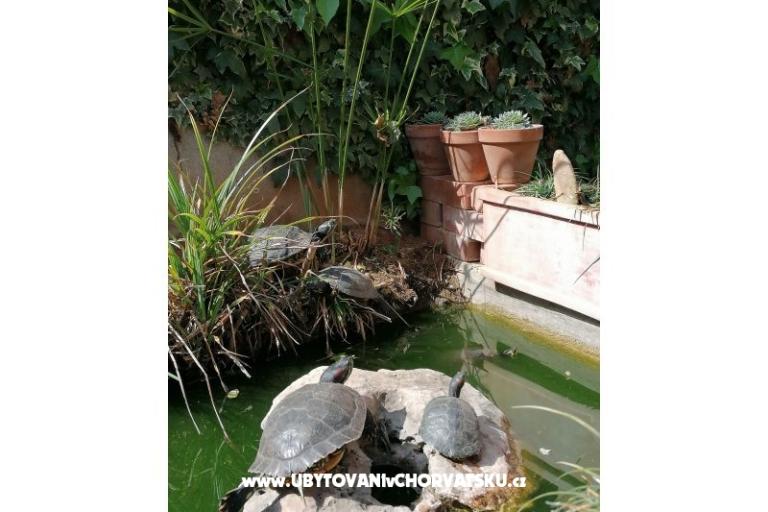 Appartements Vesna – foto 12