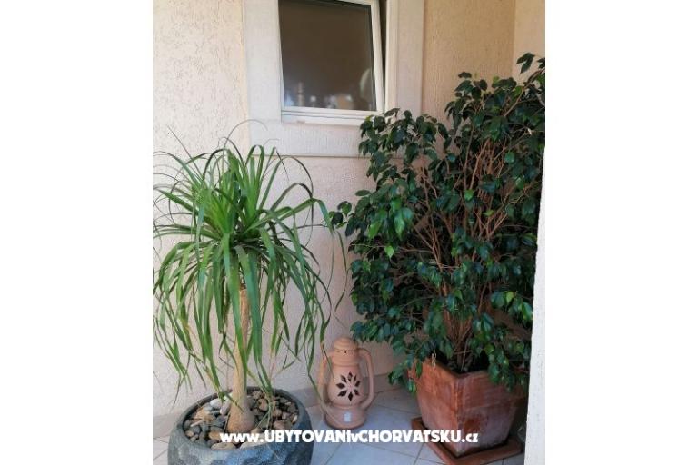Appartements Vesna – foto 34
