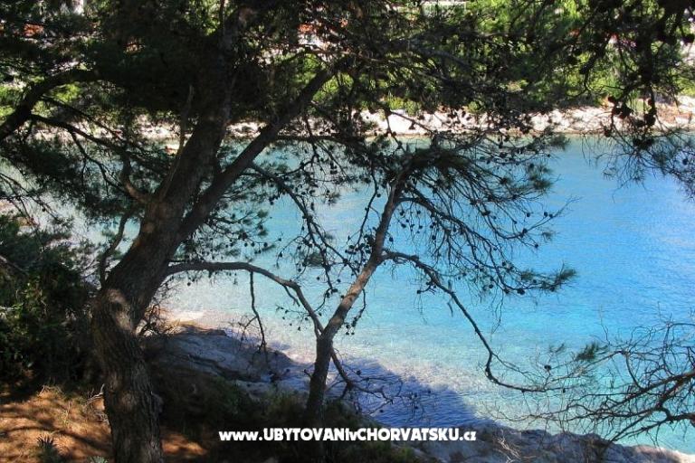 Sea Maison – foto 17