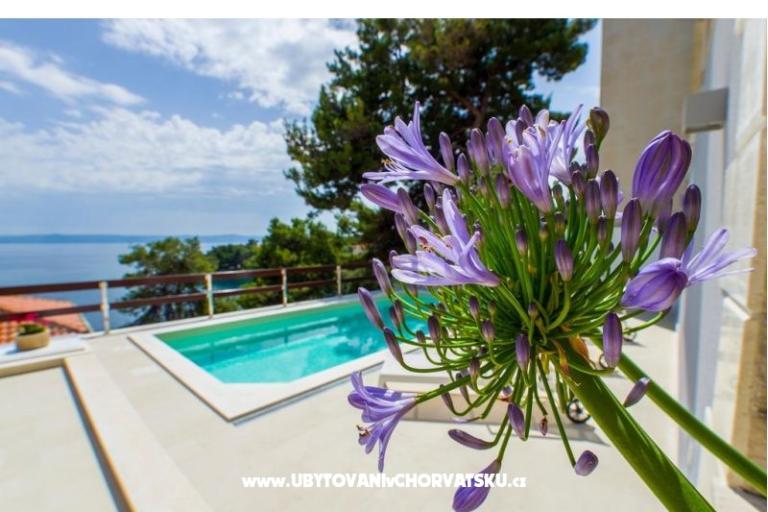 Villa Mošić – foto 9