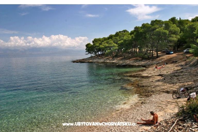 Villa Magda – foto 16