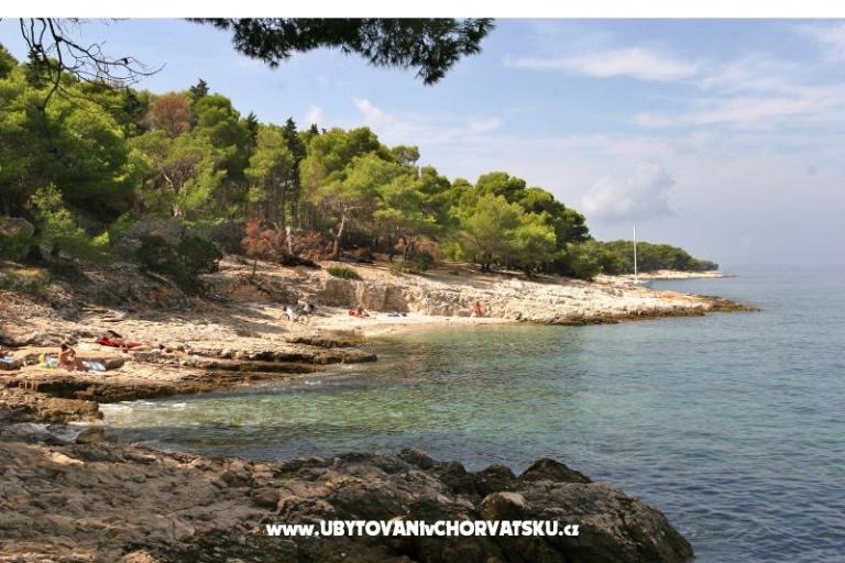 Villa Magda – foto 18