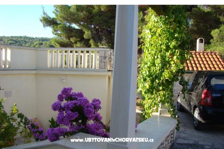 Villa Magda – foto 7