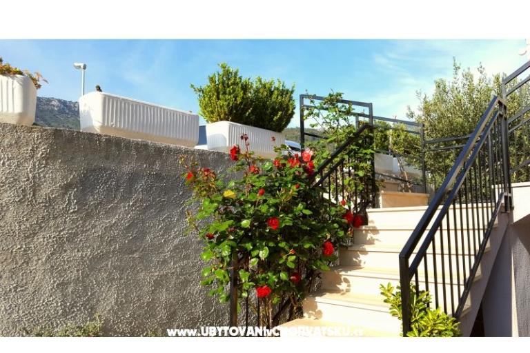 Apartmani Bezma – foto 8